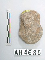 藏品(中砝碼型石網墜)的圖片